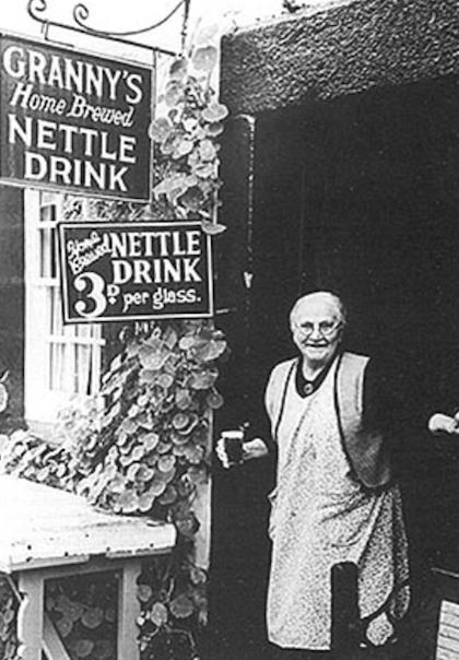 Granny with her nettle brew.